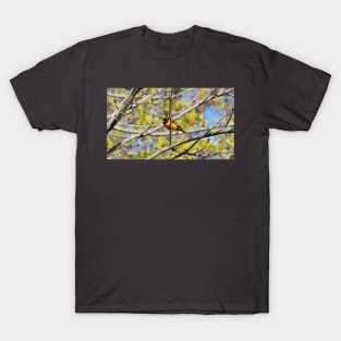 Baltimore Oriole Perched On A Tree Branch T-Shirt